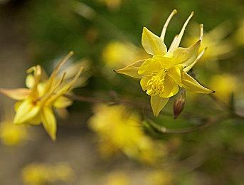 3DM速报：新PS+服务升级需补折扣差价 《八方旅人》团队新作泄露